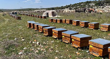 Mersin'de arıcılara 4 milyon 200 bin TL destek sağlandı