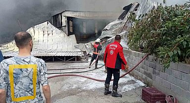 Mersin'de narenciye paketleme tesisinde yangın