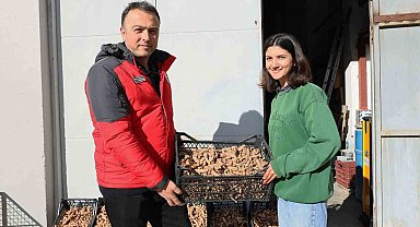 Muğla'da Zerdeçal ve Zencefil üretimine büyük ilgi