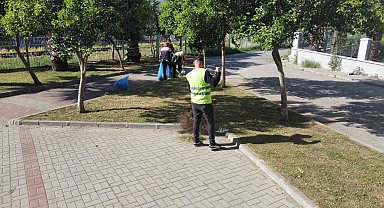 Nazilli'de yabani otlar temizleniyor