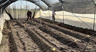 Niğde Patates Araştırma Enstitüsünde GPT ekimine başlandı