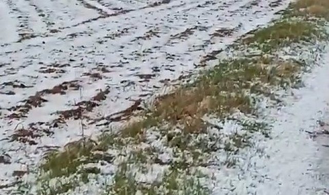 Niğde'de dolu yağışı etkili oldu