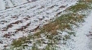 Niğde'de dolu yağışı etkili oldu