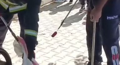 Okul bahçesindeki yılanı itfaiye ekipleri yakaladı