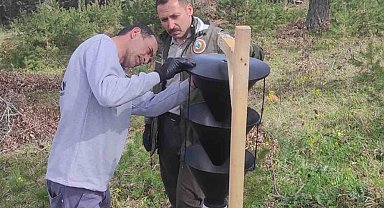 Orman zararlılarına karşı biyoteknik mücadele