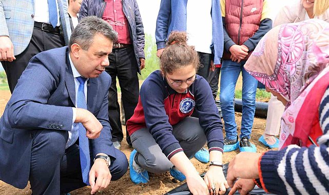 Özel bireyler ve aileleri kolları sıvadı, serada çilek üretimine başladı