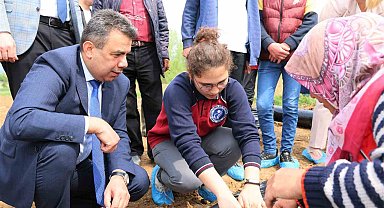 Özel bireyler ve aileleri kolları sıvadı, serada çilek üretimine başladı