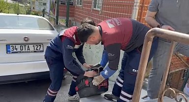 Pendik'te yaralı halde bulunan atmaca tedavi edildi