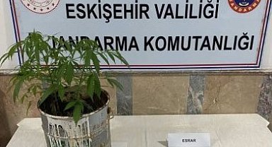 Polis ve jandarma ekiplerinden uyuşturucu operasyonu