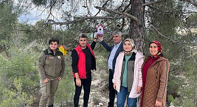 Rengarenk kuş yuvaları ormanı süsledi
