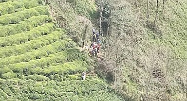 Rize'de ilkel teleferikten düşen 2 kişi ağır yaralandı