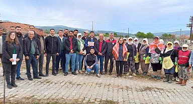 Sağlık ve kazançlı ürün için salkım güvesine karşı mücadele başlatıldı