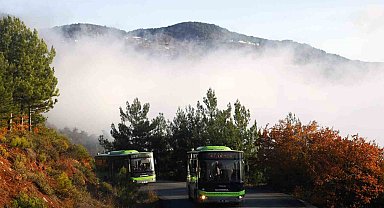 Sakarya'da arefe gününde mezarlıklara ulaşım ücretsiz