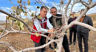 Şanlıurfa'da "yeşil altın" için ilaçlama uyarısı