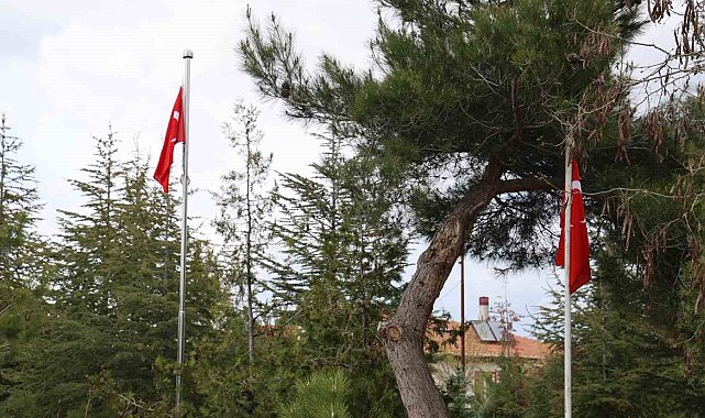 Şehit mezarlarında 'Türk bayrağı yok' iddiası yalan çıktı