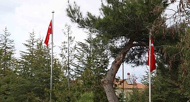 Şehit mezarlarında 'Türk bayrağı yok' iddiası yalan çıktı