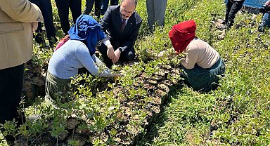 Siirt'te 125 bin adet fıstık fidanı törenle dağıtıldı