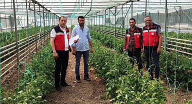 Simav'da yeni seraların tespitleri ve ürün kontrolleri