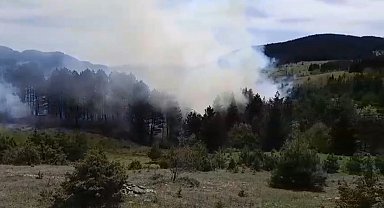 Sinop'ta korkutan orman yangını