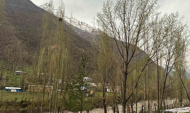 Şırnak'ta dolu yağışı etkili oldu