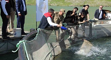 Şırnak'ta kafeslerden 30 ton balık hasat edildi