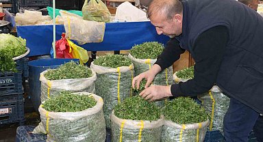 Sivaslı kadınlar artık madımak toplamak yerine pazardan satın alıyor