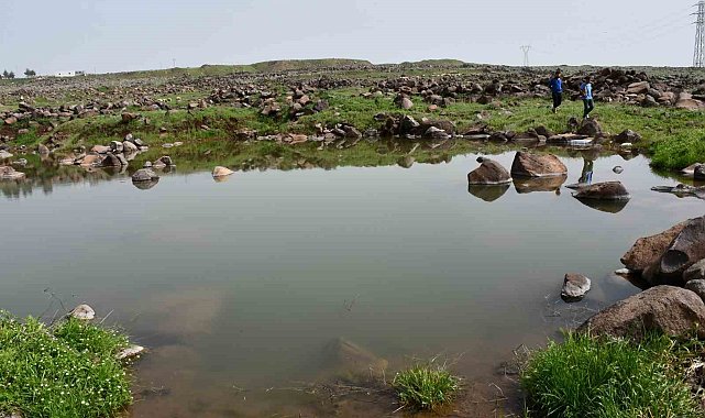 Siverek'te gölete giren çocuklar boğulma tehlikesi geçirdi