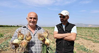 Sofrada göz yaşartan soğan tarlada üreticinin yüzünü güldürdü