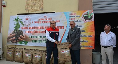 Söke'de yağlık ayçiçeği tohumu dağıtıldı