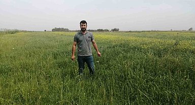 Söke'de yem bitkileri desteği kapsamında tarla kontrolleri gerçekleştirildi
