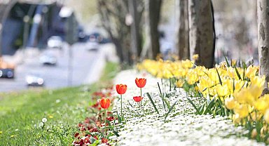 Sultangazi cadde ve sokaklarına bahar geldi