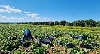 Tarımda üretici enflasyonu martta yüzde 61,87 oldu