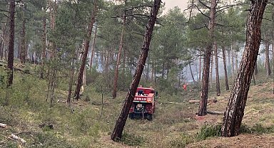 Tavşanlı'da orman yangını