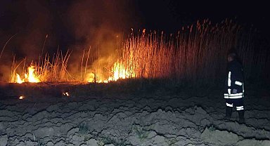 Tavşanlı'da sazlık alanda çıkan yangın büyümeden söndürüldü
