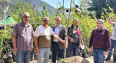 Trabzon hurma fidanı dağıtıldı