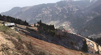 Trabzon'da orman yangını