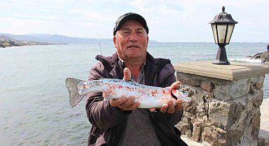 Trabzon'un Çarşıbaşı ilçesi açıklarında somon kafesleri yırtıldı, oltasını alan sahile koştu