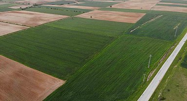 Trakya'da son yağışlar çiftçinin endişelerini ortadan kaldırdı