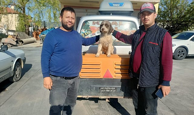 Trüf mantarı avcısı 'Radar' bulundu
