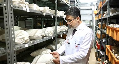 Türkiye'nin genetik materyali "Banka"larda korunuyor