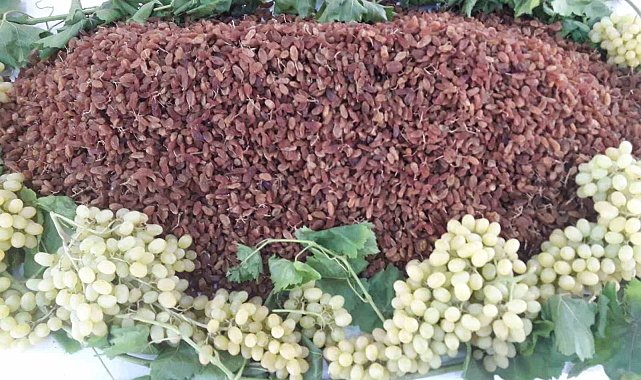 Türkiye'nin sultani çekirdeksiz kuru üzümünün ihraç fiyatı yüzde 29 arttı