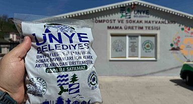 Ünye'de artan iftar yemekleri sokak hayvanları için mama oldu