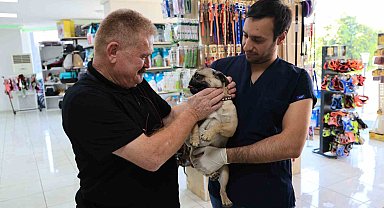 Uzmanından köpek besleyenlere uyarı: "Köpekleri ağızlık ile dolaştırın"