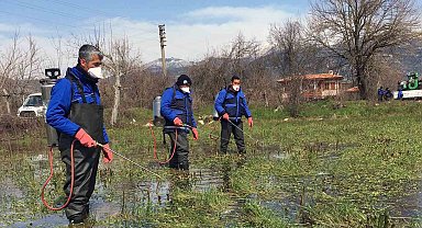 Vektörle mücadele devam ediyor