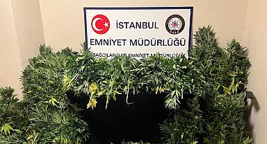 Villa değil uyuşturucu serası