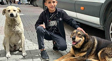 Yağmurda köpeği ıslamaktan koruyan Ayaz o anları anlattı