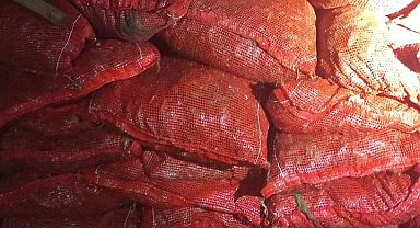 Yalova'da 1 ton 150 kilo kaçak midye ele geçirildi