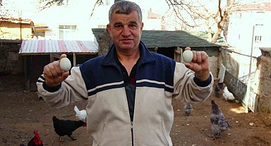 Yeşil yumurtanın tanesi 20 liradan satılıyor