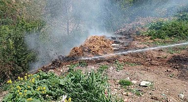 Yol kenarındaki çürümüş samanlar alev aldı