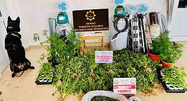 Zehir tacirinin evi uyuşturucu serası çıktı